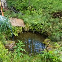 House in Finland, 49 sq.m.