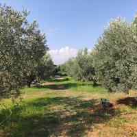 Другое в Греции, 100 кв.м.