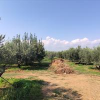 Другое в Греции, 100 кв.м.