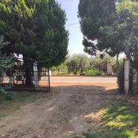 Другое в Греции, 100 кв.м.