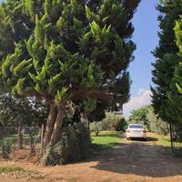 Другое в Греции, 100 кв.м.