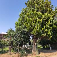 Другое в Греции, 100 кв.м.