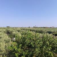 Другое в Греции, 100 кв.м.