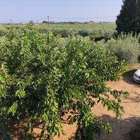 Другое в Греции, 100 кв.м.