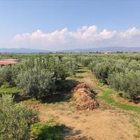 Другое в Греции, 100 кв.м.