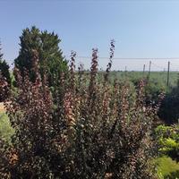 Другое в Греции, 100 кв.м.