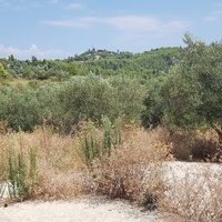 Земельный участок в Греции