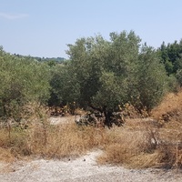 Земельный участок в Греции