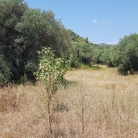 Земельный участок в Греции