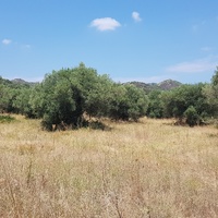 Земельный участок в Греции