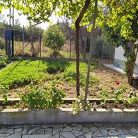 Другое в Греции, 110 кв.м.