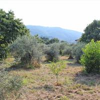 Земельный участок в Греции