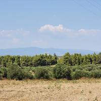 Земельный участок в Греции