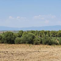 Земельный участок в Греции