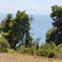 Земельный участок в Греции