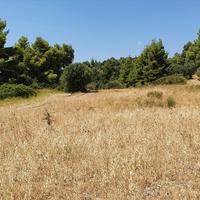 Земельный участок в Греции