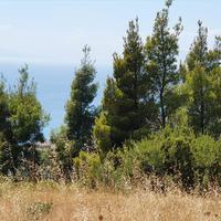 Земельный участок в Греции