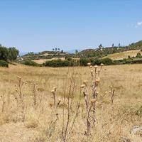 Land plot in Greece
