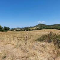 Land plot in Greece
