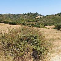 Land plot in Greece