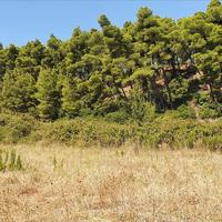 Земельный участок в Греции