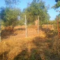 Land plot in Greece