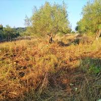 Land plot in Greece