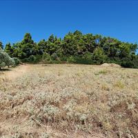 Land plot in Greece