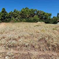Land plot in Greece