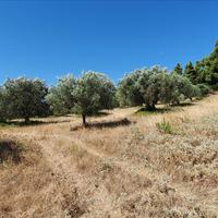Land plot in Greece