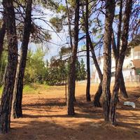 Land plot in Greece