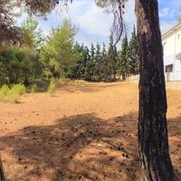 Land plot in Greece