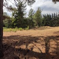 Land plot in Greece