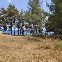 Land plot in Greece