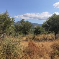 Земельный участок в Греции