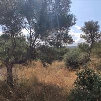 Земельный участок в Греции