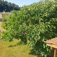 Other in Greece, 115 sq.m.