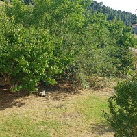 Other in Greece, 115 sq.m.