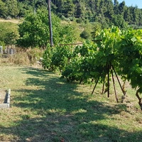 Other in Greece, 115 sq.m.