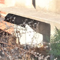 Другое в Греции, 210 кв.м.