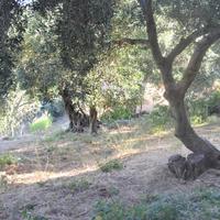 Другое в Греции, 210 кв.м.