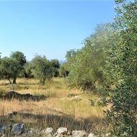 Land plot in Greece
