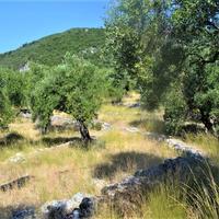 Land plot in Greece