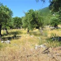 Land plot in Greece