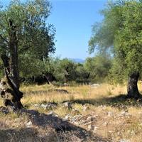 Land plot in Greece