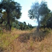Land plot in Greece