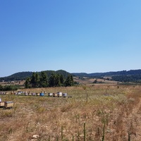 Land plot in Greece