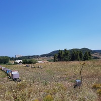 Land plot in Greece