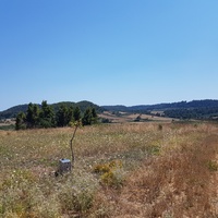 Land plot in Greece
