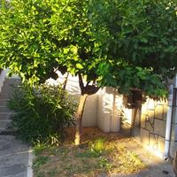 Flat in Greece, 55 sq.m.